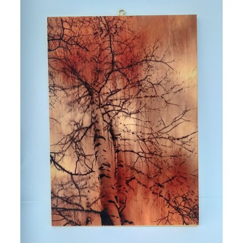 Falikép- Fakép A/4