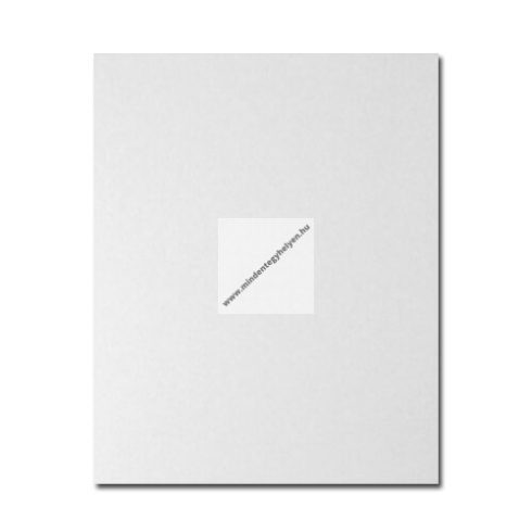Csempe-10 X 20 cm