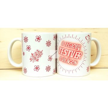 Legjobb Testvér a Világon! 