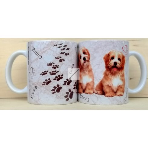 Bischon Havanese