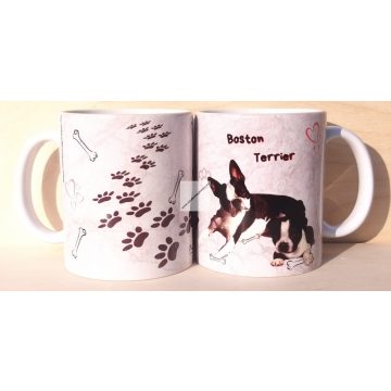 Boston Terrier