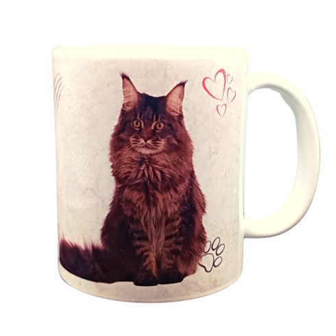 Maine Coon