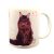 Maine Coon
